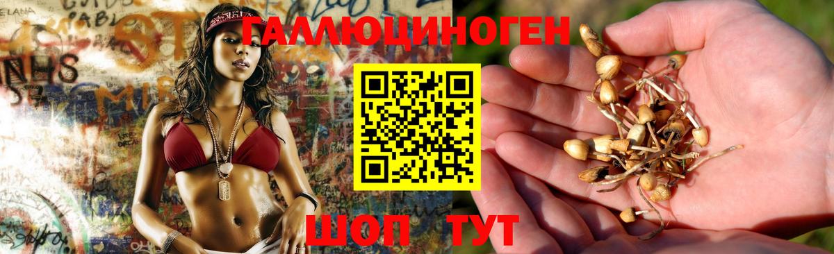 Галлюциногенные грибы ЛСД  Галлюциногенные грибы ЛСД  Вход с VPN  Анапа 