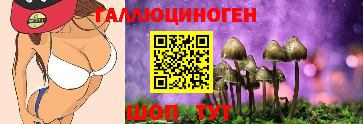 Галлюциногенные грибы GOLDEN TEACHER Анапа